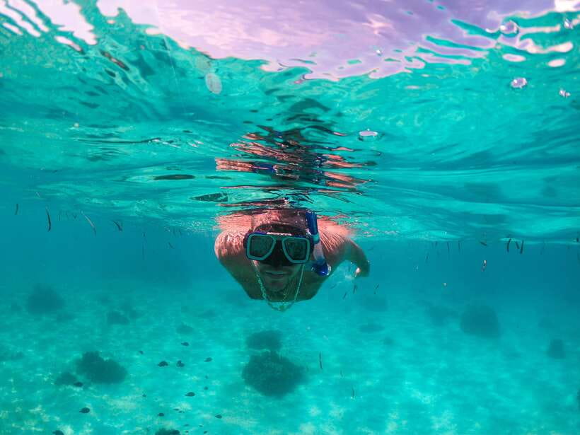Bohol: Pamilacan Island Dolphin/Turtle Watching Tour & Lunch - Turtle snorkeling and the Coral Garden