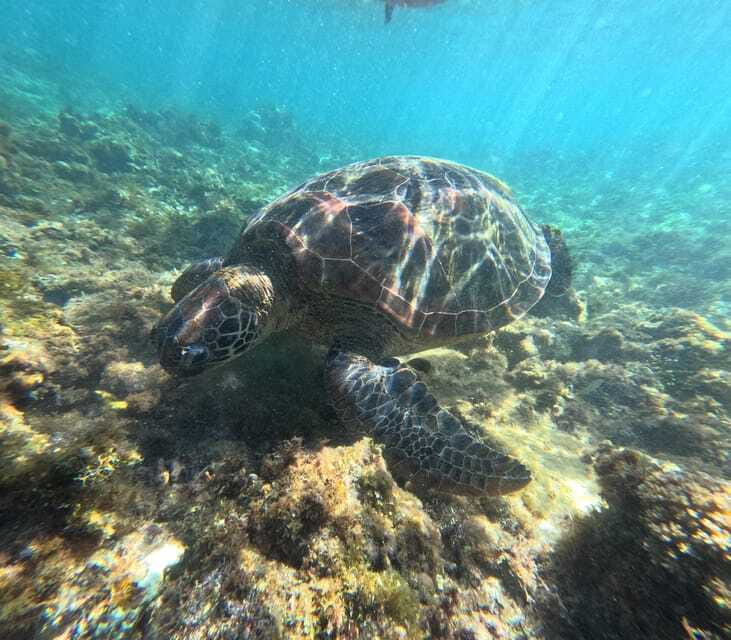 Bohol PREMIUM PAMILACAN Island Tour - The strengths and limits of the experience