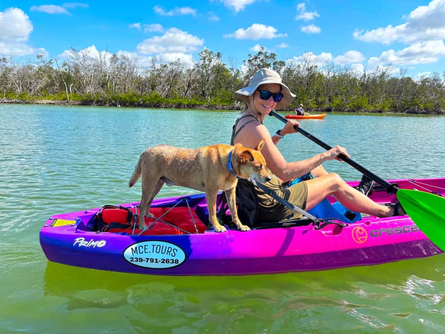 Bonita Springs Clear Kayak Tour with Dolphins & Manatees - Key points to know