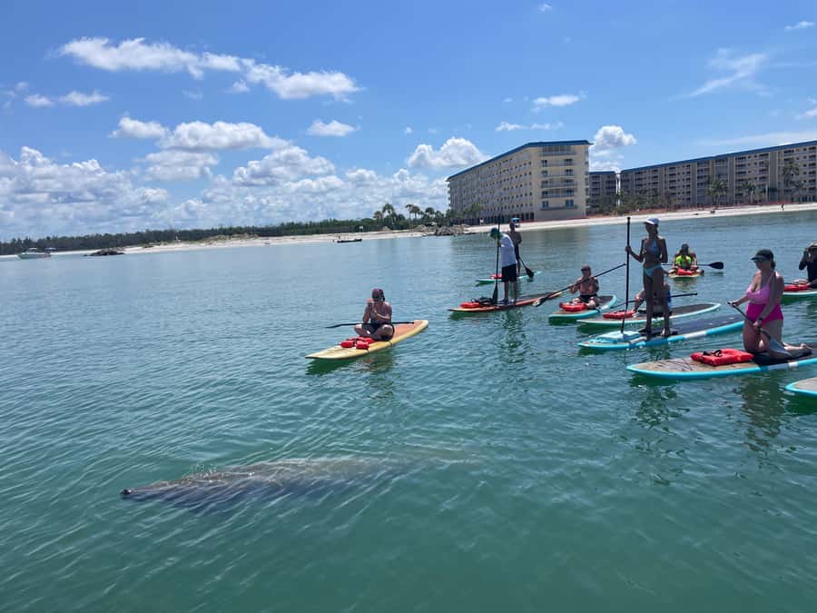 Bonita Springs Dolphin, Manatee & Sea Turtle Adventure Tour! - Is $65 a fair price?