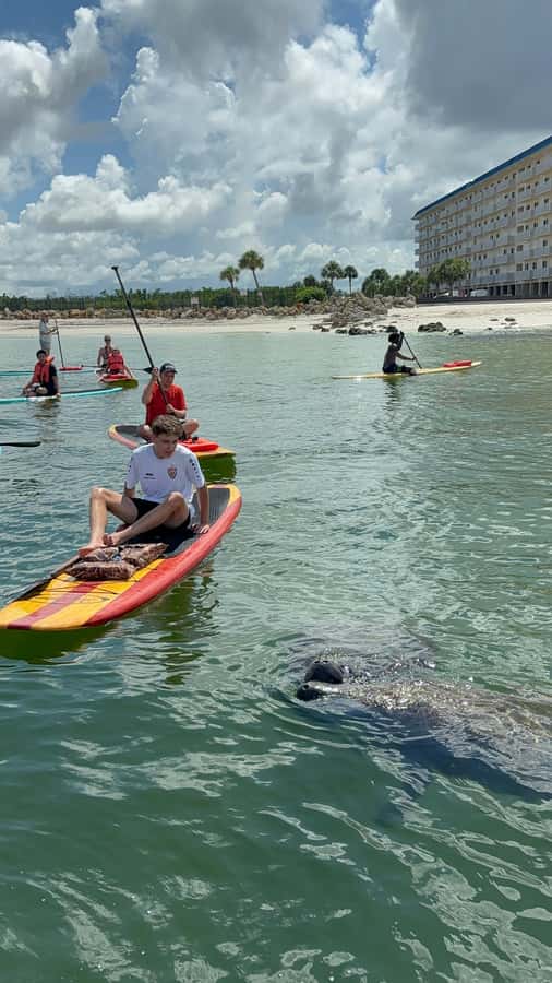 Bonita Springs Dolphin, Manatee & Sea Turtle Adventure Tour! - Practical issues that can affect the day