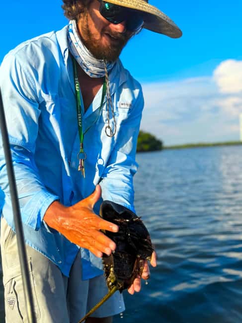Bonita Springs: Kayak Tour with Manatees, Dolphins Sightings - Starting at Big Hickory Pass Bridge