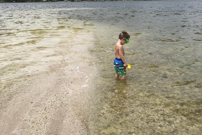 Brevard County Tours, dolphin and manatee tours in Palm Bay, FL - Birds, alligators, and the details along the shore