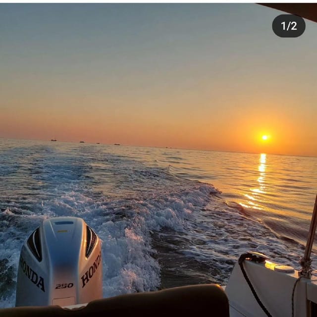 Brioni Private Sunset and Dolphin Boat Tour up to 11 people - Is this Brijuni sunset cruise right for you?