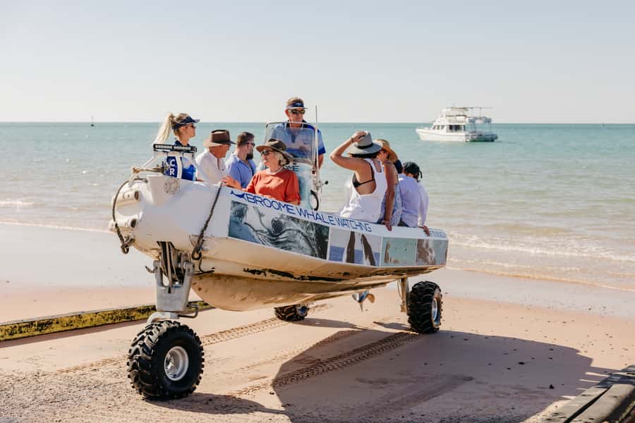 Broome: Snubfin Dolphin Cruises - Turtles, dugongs, rays, and birdlife