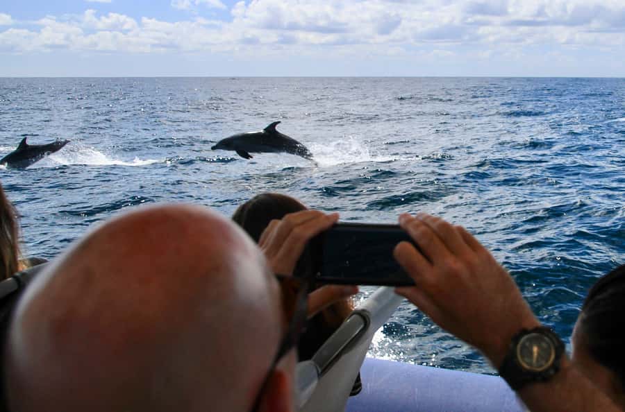 Byron Bay: Cruise with Dolphins Tour - Leaving Ballina for Cape Byron Marine Park