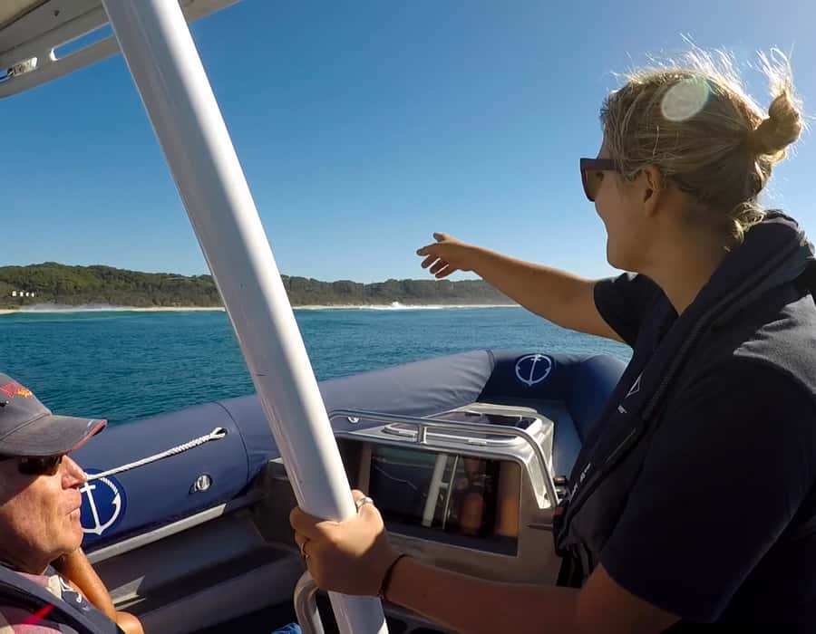 Byron Bay: Cruise with Dolphins Tour - Turtles and other wildlife