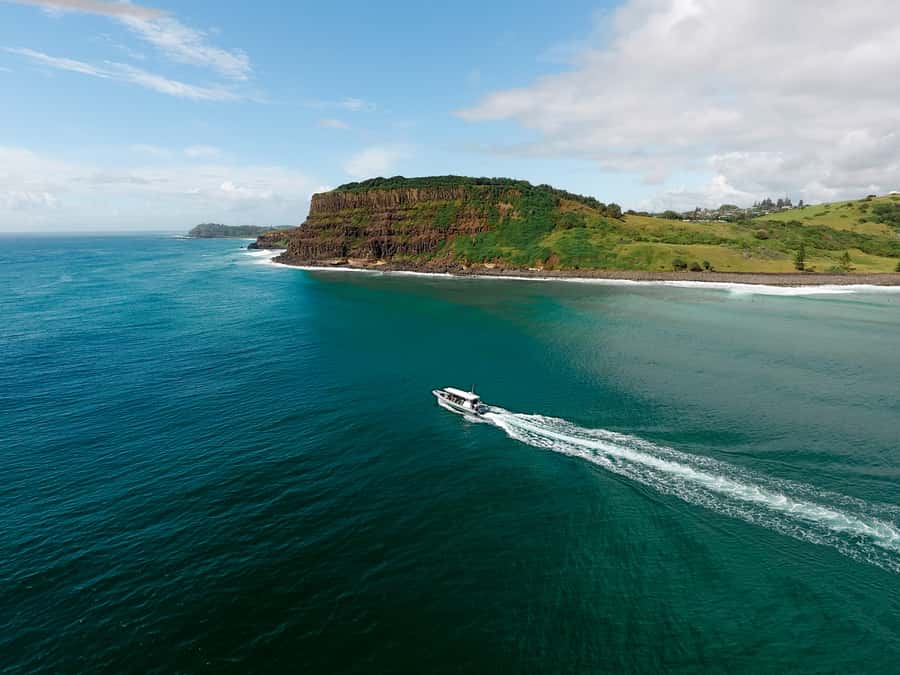 Byron Bay: Cruise with Dolphins Tour - Timing, weather, and the practical details