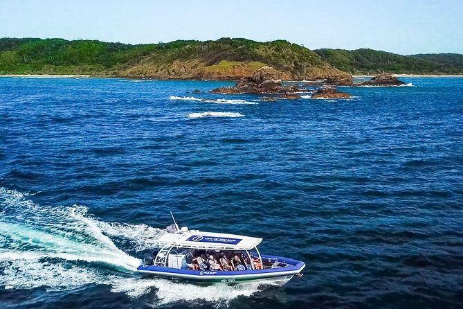 Byron Bay Dolphin Tour - Ocean Safari - A 90-minute run through Cape Byron Marine Park