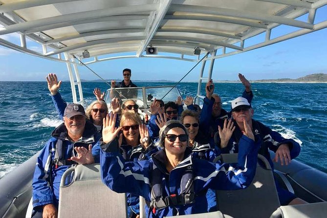 Byron Bay Dolphin Tour - Ocean Safari - Why the marine biologist improves the trip
