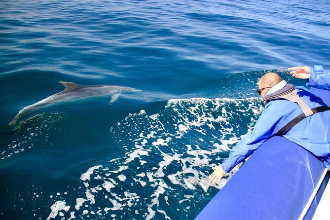 Byron Bay Dolphin Tour - Ocean Safari - The boat ride is part sightseeing, part thrill