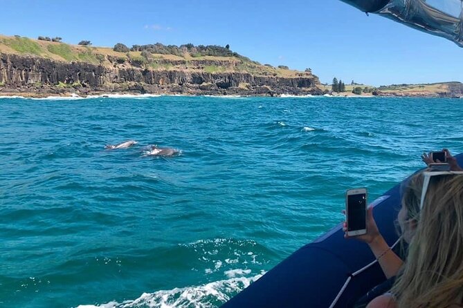 Byron Bay Dolphin Tour - Ocean Safari - Group size, age rules, and family suitability