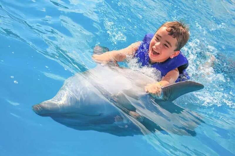 Cabo San Lucas: Dolphin Swim Class with Marine Specialist - Key points to know before booking