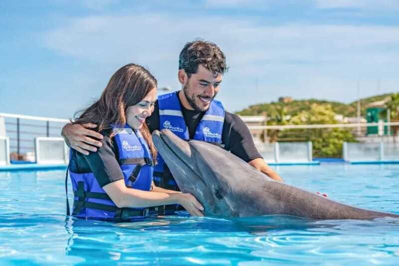 Cabo San Lucas: Dolphin Swim Class with Marine Specialist - Who will enjoy this most