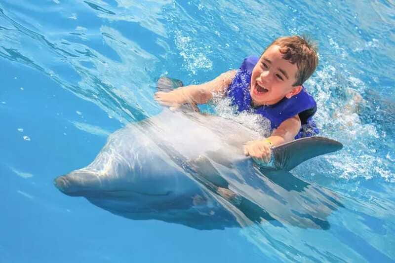Cabo San Lucas: Dolphin Swim Class with Marine Specialist - A respectful way to approach the encounter