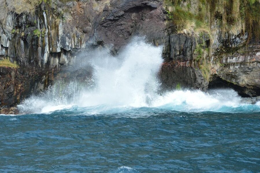 Calheta: Whale & dolphin watching small groups designer tour - Swimming and Snorkeling in Clear Water