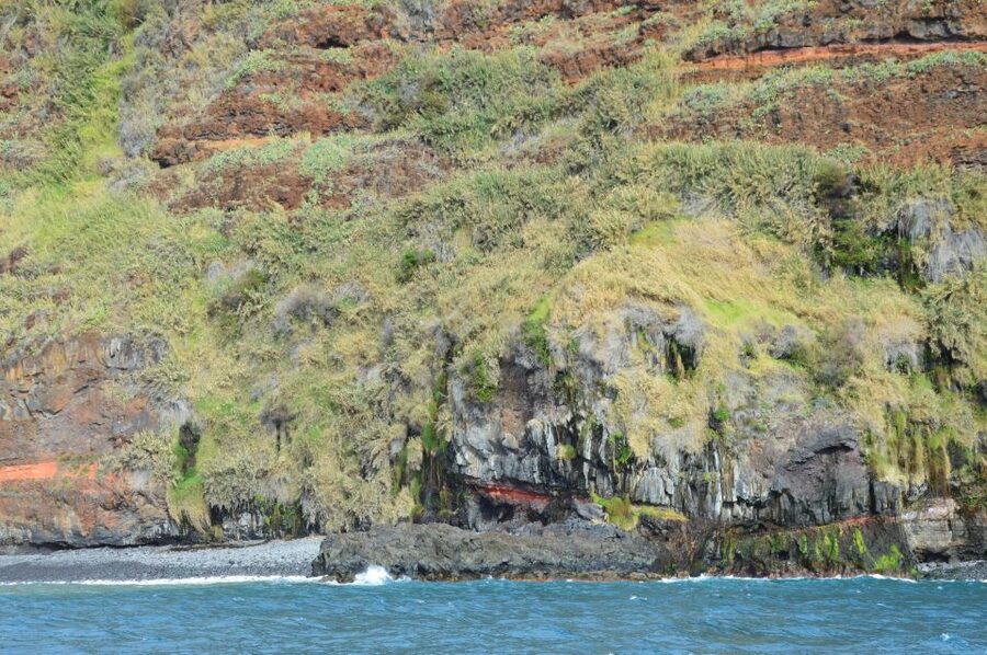 Calheta: Whale & dolphin watching small groups designer tour - Who Will Enjoy This Boat Trip Most?