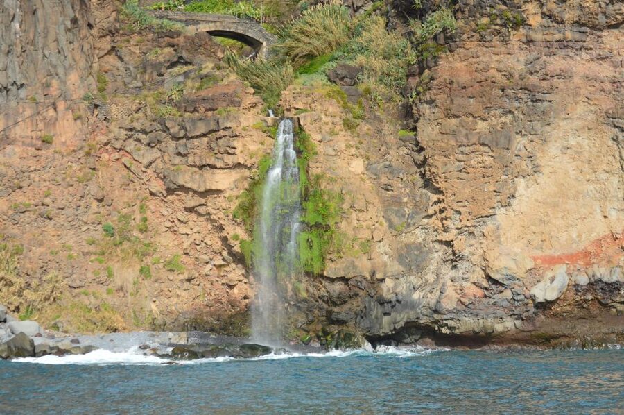 Calheta: Whale & dolphin watching small groups designer tour - FAQ