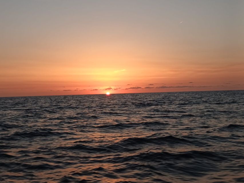 Can Picafort: Dolphin Watching Boat Tour, Swimming stop - Should you book the Can Picafort dolphin tour?