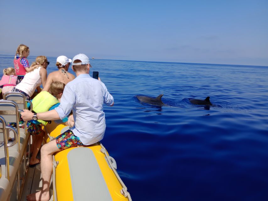Can Picafort: Dolphin Watching Boat Tour, Swimming stop - Sunrise departures and views toward Cap de Formentor