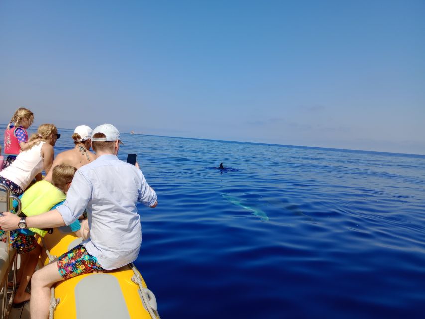 Can Picafort: Dolphin Watching Boat Tour, Swimming stop - A cave and cove on the way back