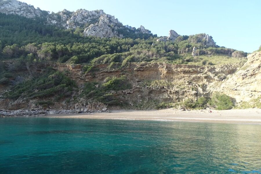 Can Picafort: Dolphin Watching Boat Tour, Swimming stop - Who will enjoy this trip most?