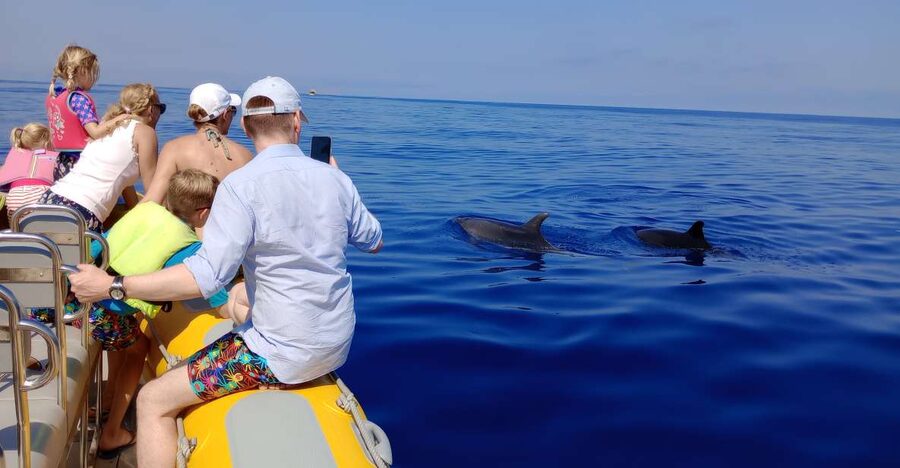 Can Picafort: Dolphin Watching Boat Tour, Swimming stop - Searching offshore for dolphins