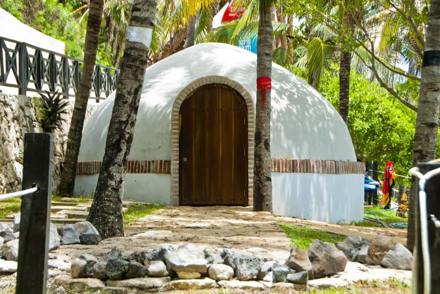 Cancun: Dolphin Encounter on Isla Mujeres and Garrafon Park - Key points to know before booking