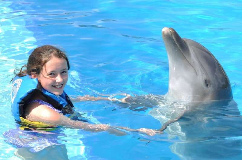 Cancún: Dolphin Encounter on Isla Mujeres with Buffet - The 9:00 AM Ferry From Playa Langosta