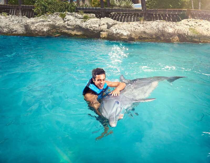 Cancún: Dolphin Encounter on Isla Mujeres with Buffet - Buffet Lunch, Soft Drinks, and Pool Time