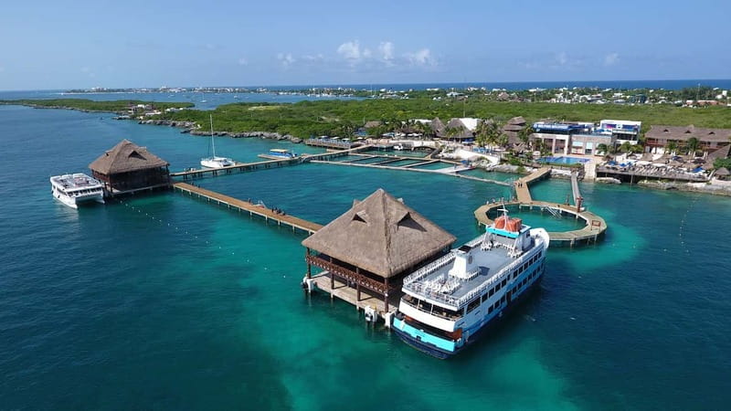 Cancún: Dolphin Encounter on Isla Mujeres with Buffet - Who Will Enjoy This Day Most?