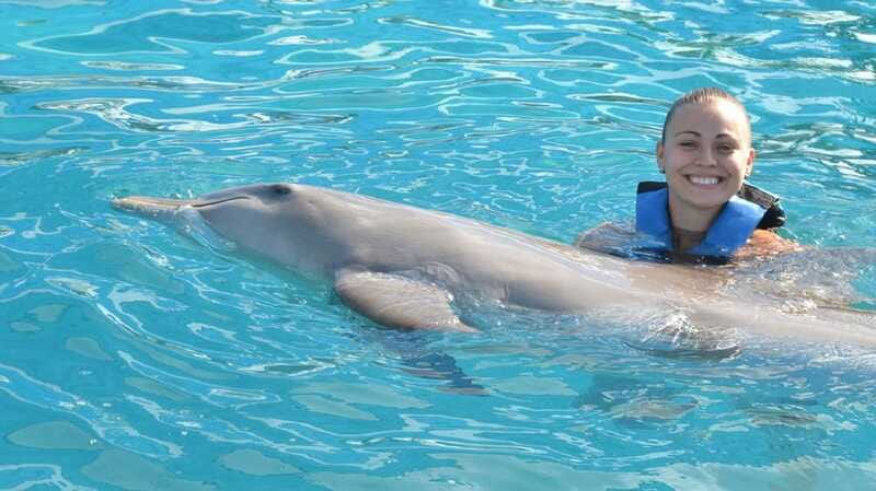 Cancún: Dolphin Encounter on Isla Mujeres with Buffet - Should You Book the Isla Mujeres Dolphin Encounter?