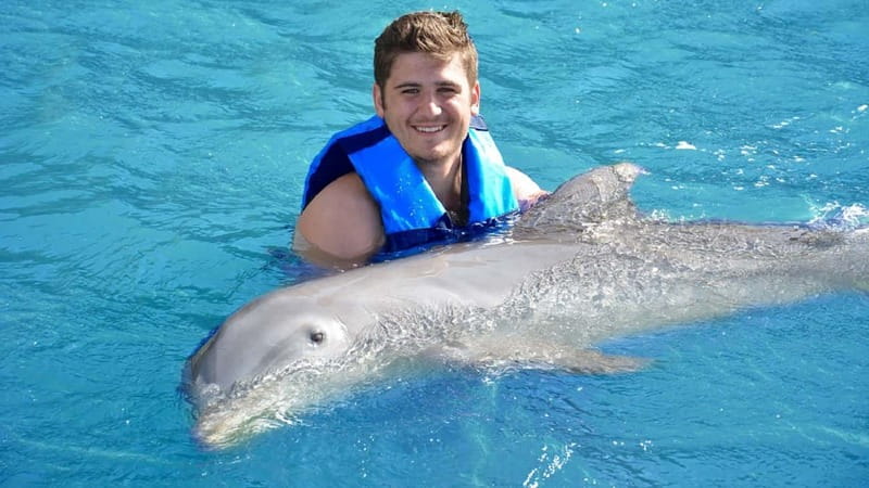Cancún: Dolphin Encounter on Isla Mujeres with Buffet - What Happens at Dolphin Discovery Isla Mujeres
