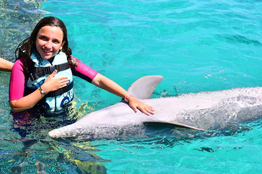 CANCUN: Dolphin Swim Adventure with buffet and soft drinks - Key points at a glance