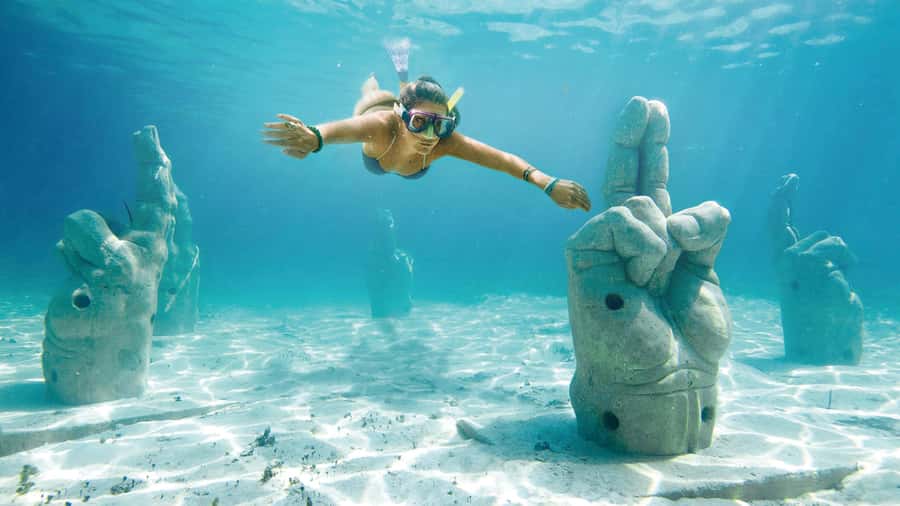 CANCUN: Dolphin Swim Adventure with buffet and soft drinks - What the one-hour schedule really means