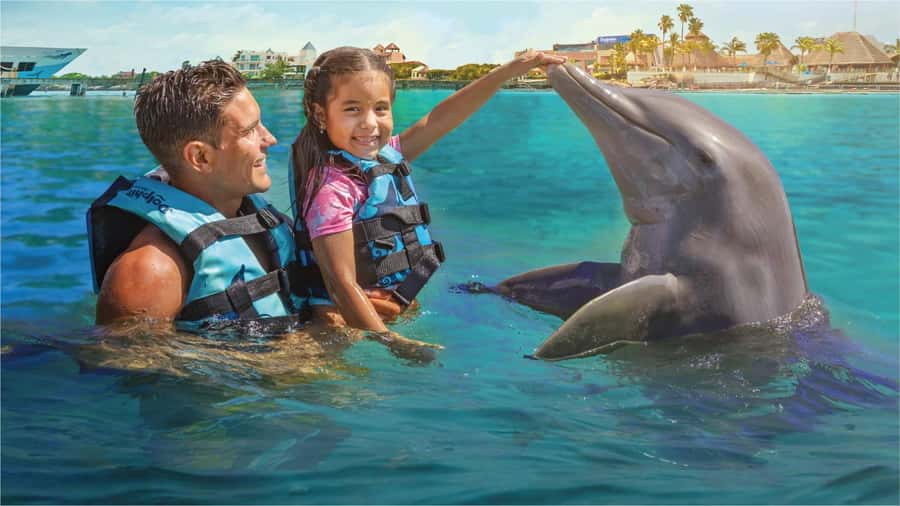 Cancun: Dolphin Swim and Garrafon Reef Park Tour with Buffet - Garrafon Reef Park changes the mood