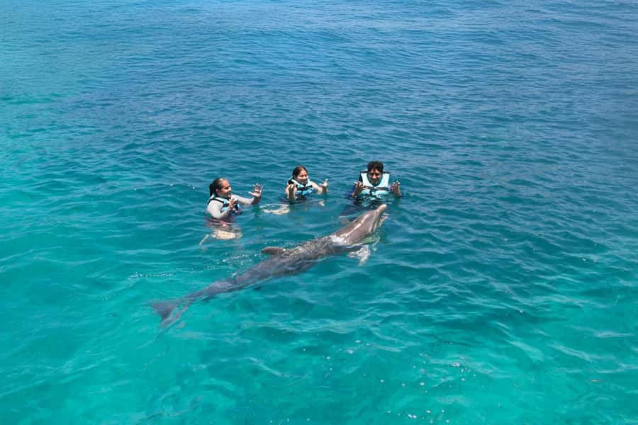 Cancun: Dolphin Swim and Garrafon Reef Park Tour with Buffet - The buffet and open bar help justify the package