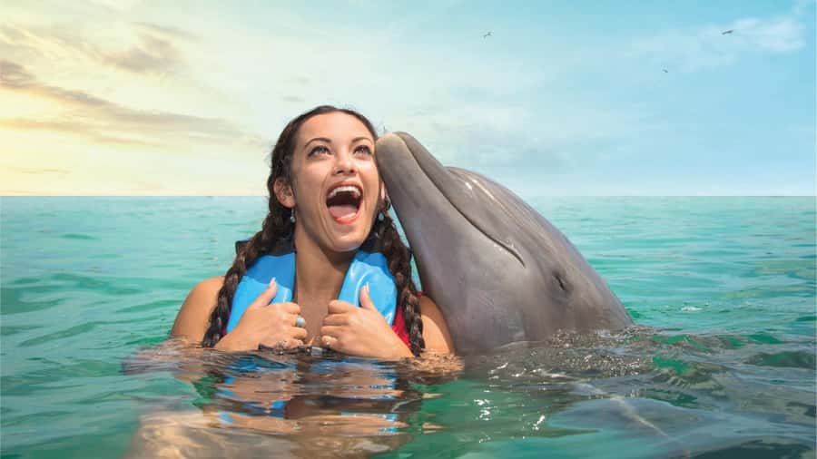 Cancun: Dolphin Swim and Garrafon Reef Park Tour with Buffet - The ferry from Playa Langosta sets the rhythm