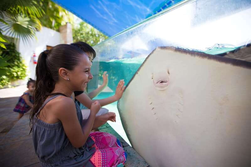 Cancún Interactive Aquarium Admission + Dolphin Presentation - Entering the aquarium at Plaza La Isla