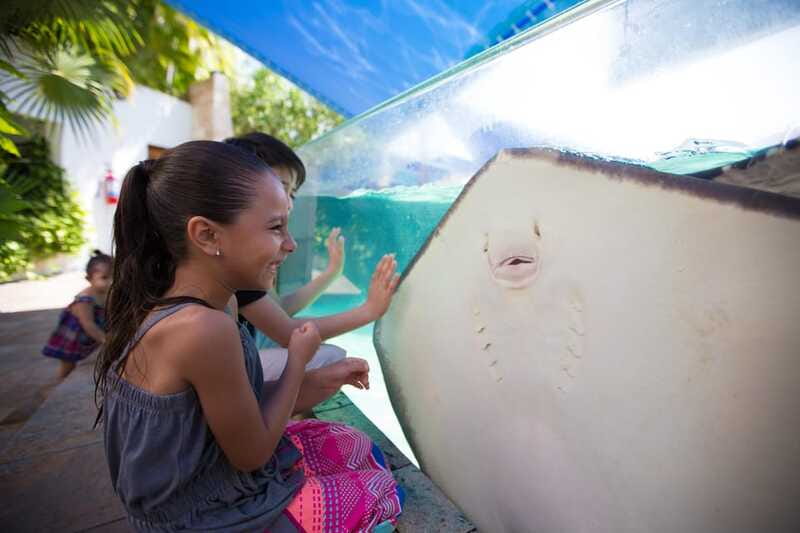 Cancún Interactive Aquarium Admission + Dolphin Presentation - How to plan your visit
