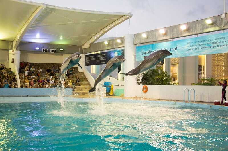 Cancún Interactive Aquarium Admission + Dolphin Presentation - Who will enjoy this aquarium most?
