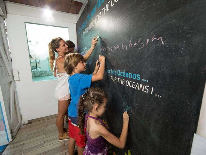 Cancún Interactive Aquarium Admission + Dolphin Presentation - Should you book the Cancún Interactive Aquarium?