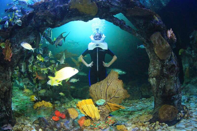 Cancun: Interactive Aquarium - Swim with dolphins Premium - Booking flexibility and practical limits
