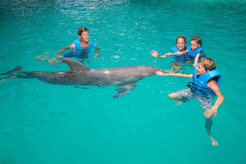 Cancun: Interactive Aquarium - Swim with dolphins Premium - Aquarium Trek feels different from the dolphin encounter