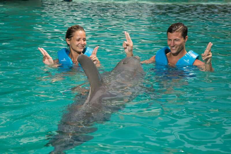 Cancun: Interactive Aquarium - Swim with dolphins Premium - The 15-minute briefing sets the rules