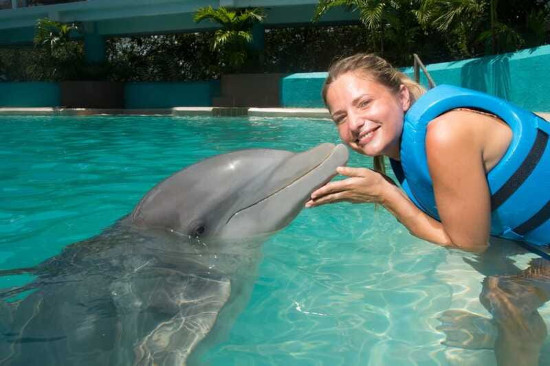 Cancun: Interactive Aquarium - Swim with Dolphins Splash - The Real Cost: $127 Plus Photographs