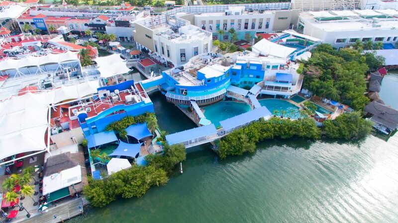 Cancun: Interactive Aquarium - Swim with Dolphins Splash - Should You Book the Cancun Dolphin Splash?