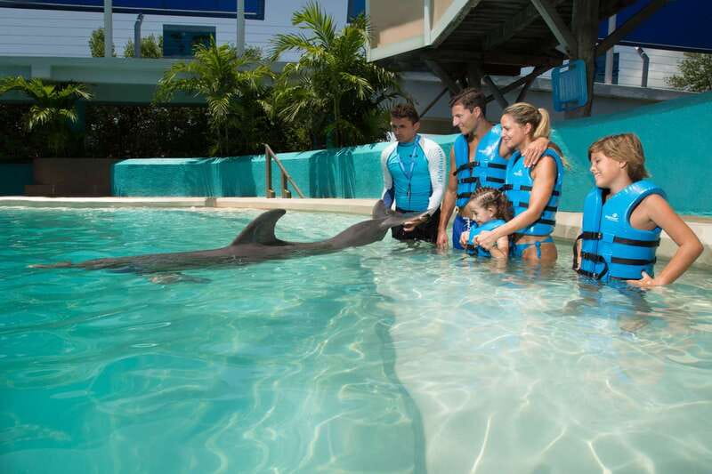 Cancun: Interactive Aquarium - Swim with Dolphins Splash - Meeting the Dolphins Through Ten Guided Activities