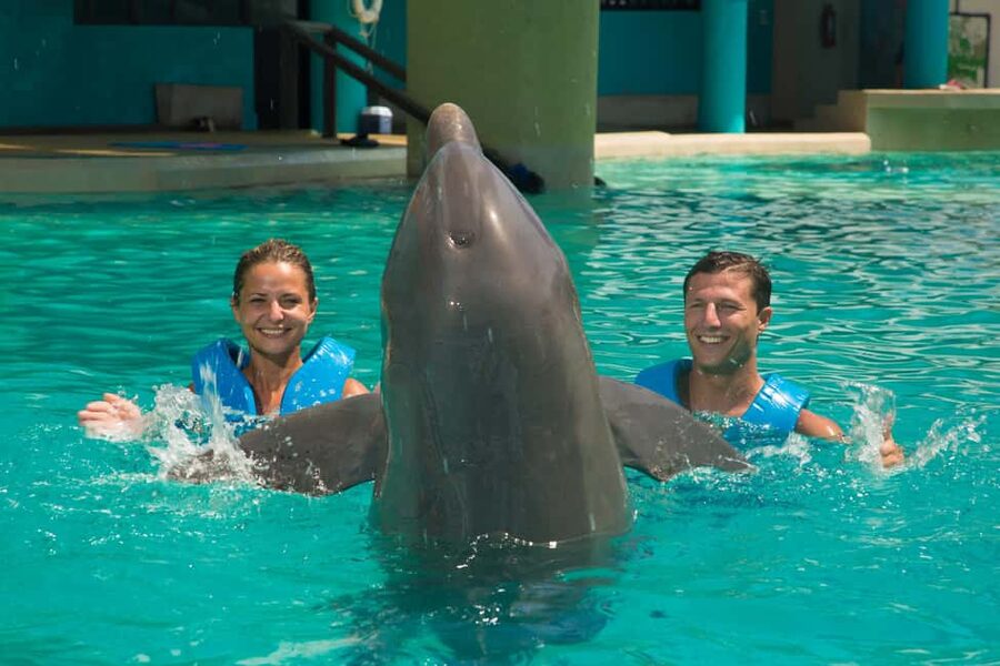 Cancun: Interactive Aquarium Ticket and Swim with Dolphins - The 30-minute meeting in the water