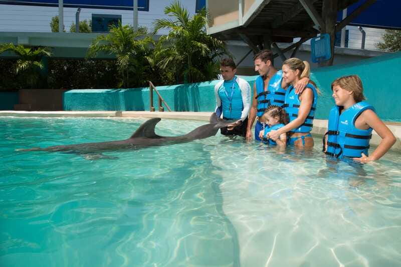 Cancun: Interactive Aquarium Ticket and Swim with Dolphins - Group size, timing, and what to bring
